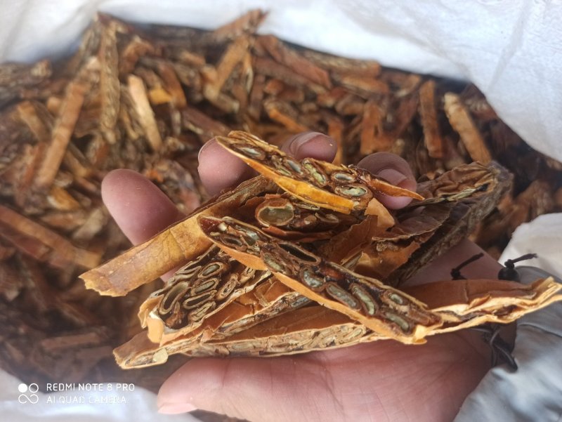 瓜蒌正品规格多货品多可详聊中药专营