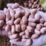 鲁花8号手剥种子米（不包运费）