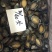 鲍鱼小鲍鱼鲜活鲍鱼速冻大鲍鱼鲍鱼仔新货上市