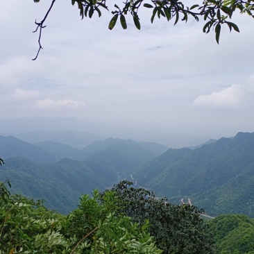 阴宅大地。案朝秀丽，还当运，，有意者联系，一手包办。。