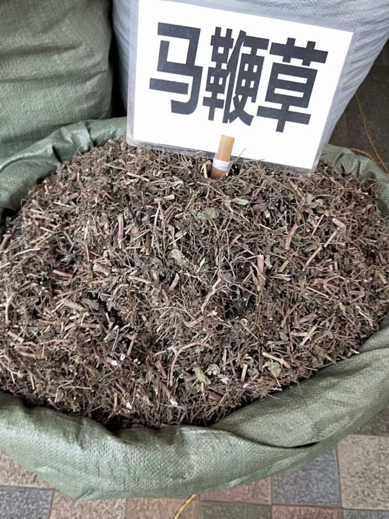 马鞭草马边草可打粉各种规格专营中药批发
