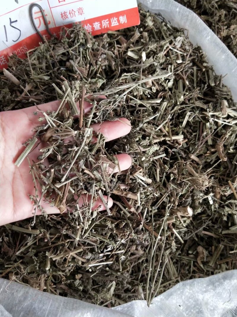 马鞭草马边草可打粉各种规格专营中药批发