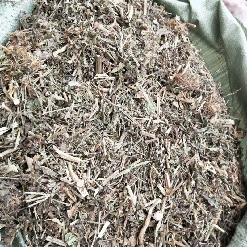 马鞭草马边草可打粉各种规格专营中药批发