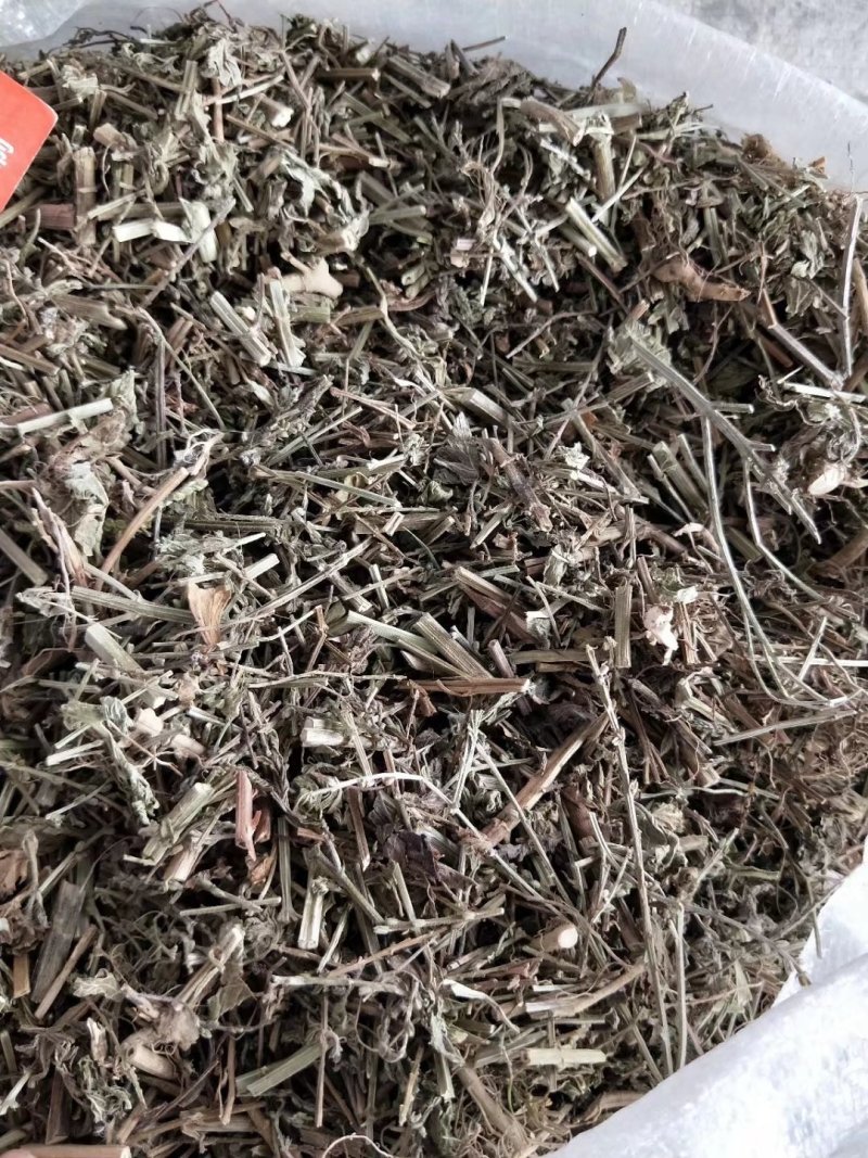 马鞭草马边草可打粉各种规格专营中药批发