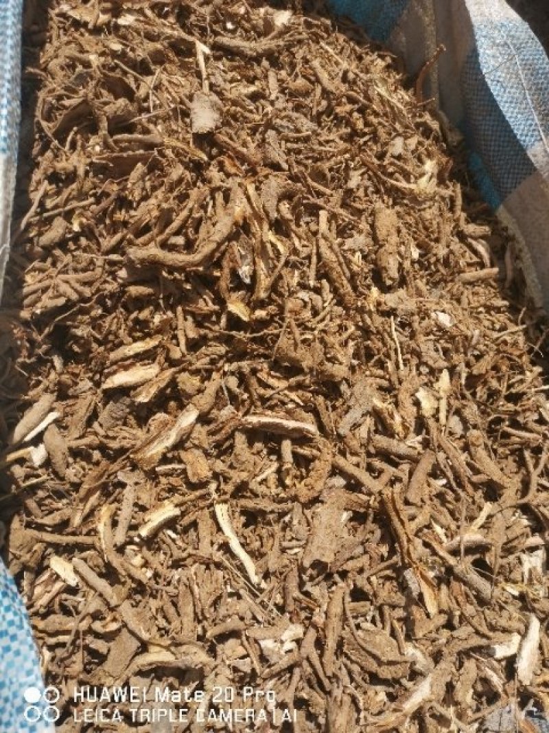 地骨皮产地大货供应家种地骨皮