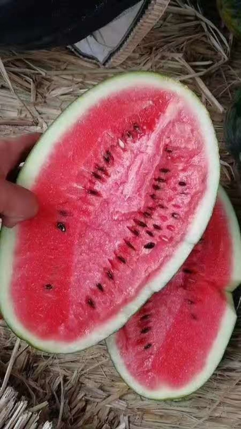 黑美人西瓜陆续上市中，个头匀称，口感甜美，皮毛