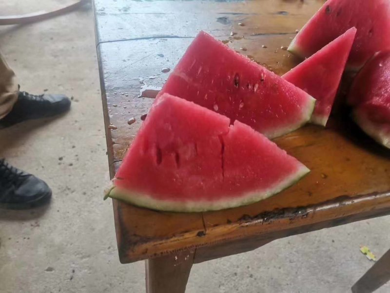 黑美人西瓜陆续上市中，个头匀称，口感甜美，皮毛