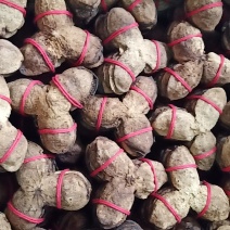 老陈皮，扎皮，新会年份陈皮