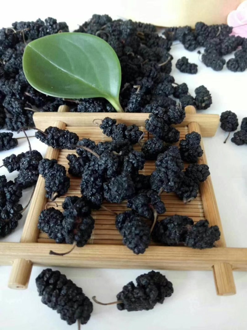 桑葚干，桑椹子，可以泡酒，针对大量批发零售，需要的老板联