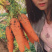 胡萝卜