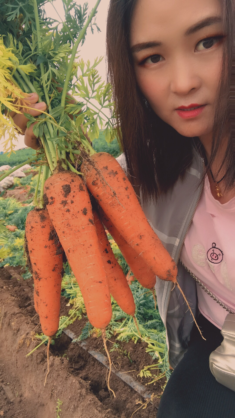 胡萝卜