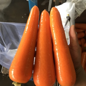 胡萝卜