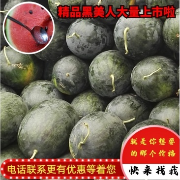 【优质】黑美人西瓜西瓜基地直发电商超市可长期供货！
