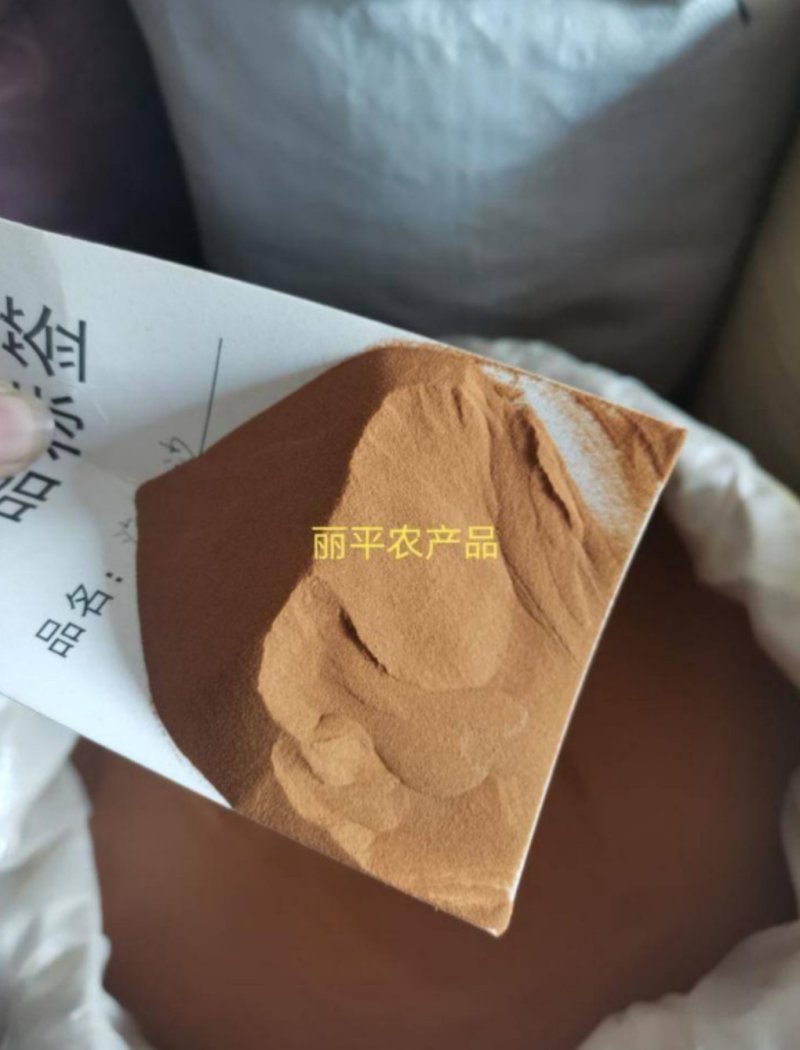 海金沙现货实拍无硫净货批发零售