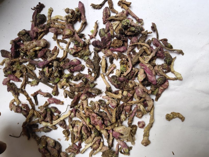 款冬花批发零售品种齐全量大从优一件代发1000起