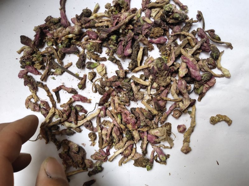 款冬花批发零售品种齐全量大从优一件代发1000起