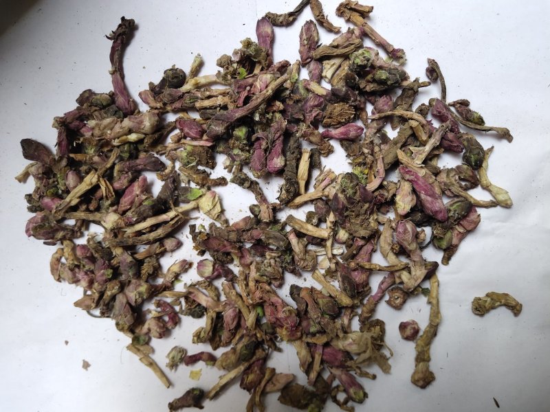 款冬花批发零售品种齐全量大从优一件代发1000起