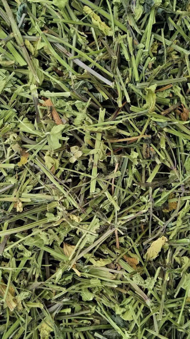 半枝莲【包邮】三斤起发货可批量可零售量大从优