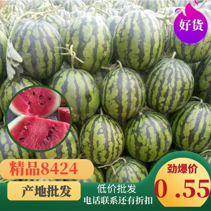 湖北8424，精品西瓜万亩基地直供电商商超对接长期合