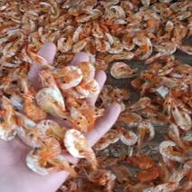 烤虾即食虾干淡干烘干白对虾活虾加工质量上乘不咸口味香醇