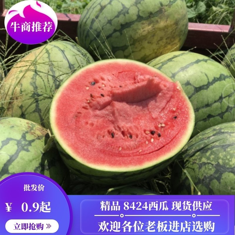 【推荐】江苏西瓜8424西瓜现货供应欢迎各位老板来购