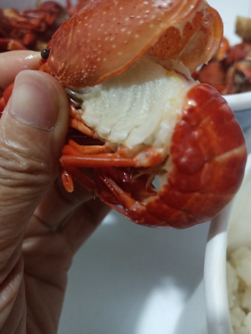 小龙虾一年四季批发