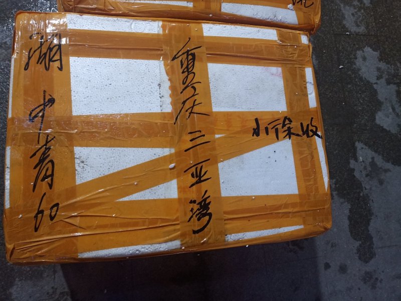 小龙虾一年四季批发