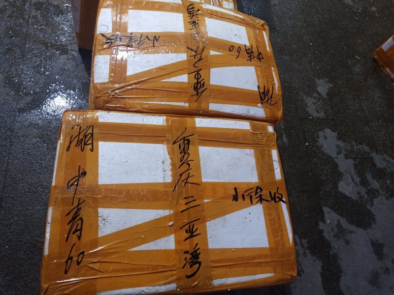 小龙虾一年四季批发