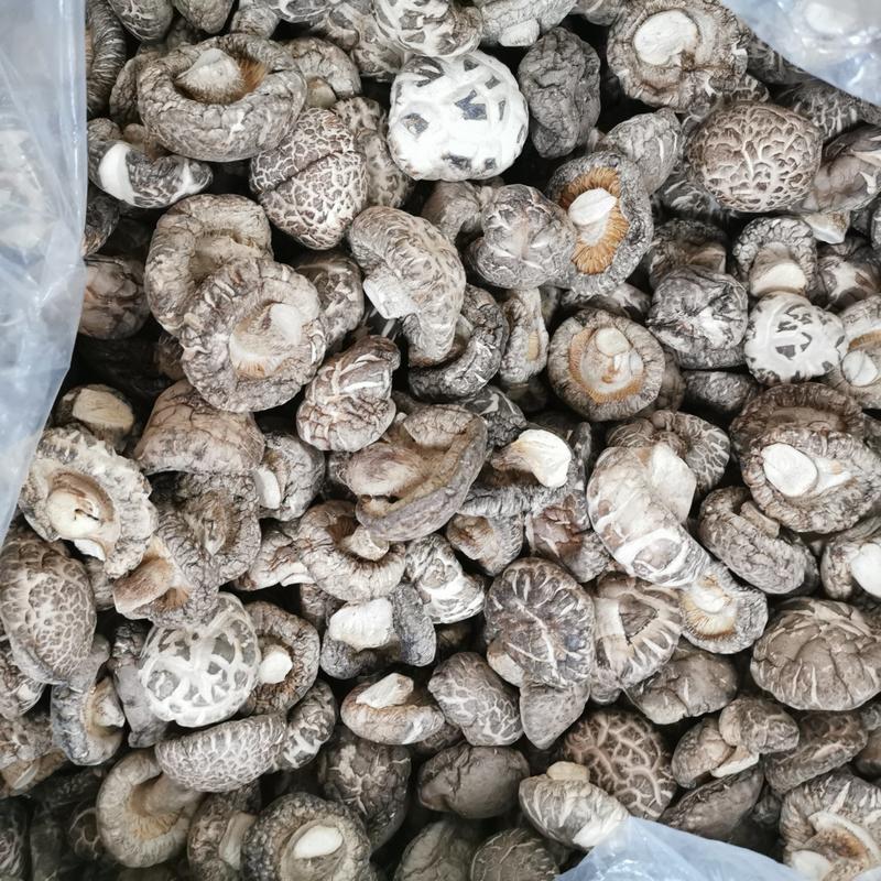 东北长白山大花菇干货500g包邮干香菇蘑菇菌菇特级散