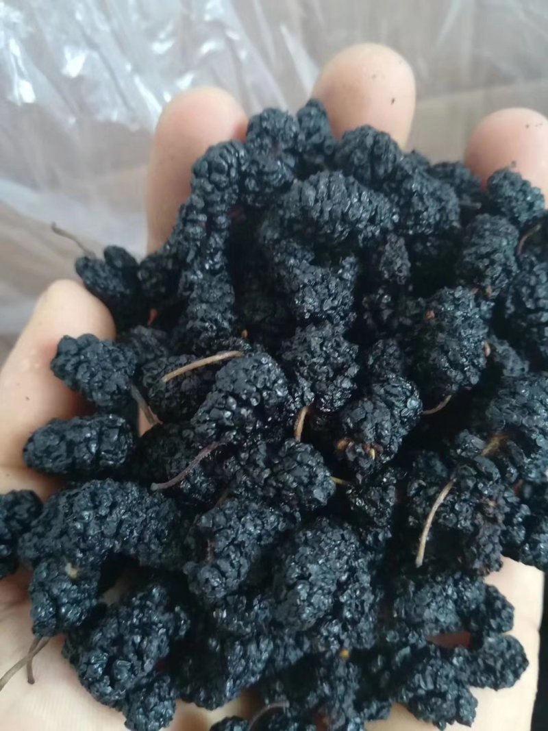 桑椹干，桑椹子大量批发零售，无碎粒免洗，产地发货