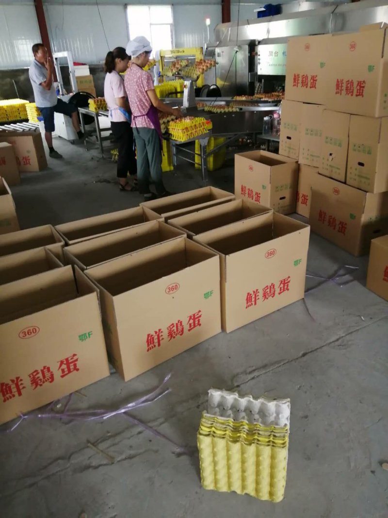 湖北精品鸡蛋商超**，破损包赔量大从优欢迎来电