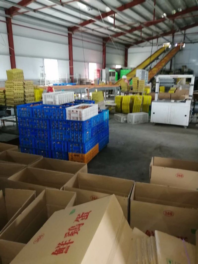 湖北精品鸡蛋商超**，破损包赔量大从优欢迎来电