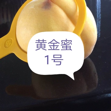 黄金蜜1号，套袋子（产地直销质量很好）