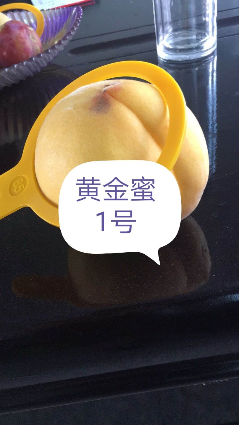 黄金蜜1号，套袋子（产地直销质量很好）