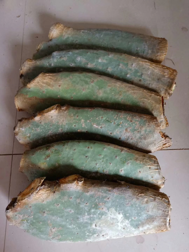 仙人掌可打粉供应有厚片薄片
