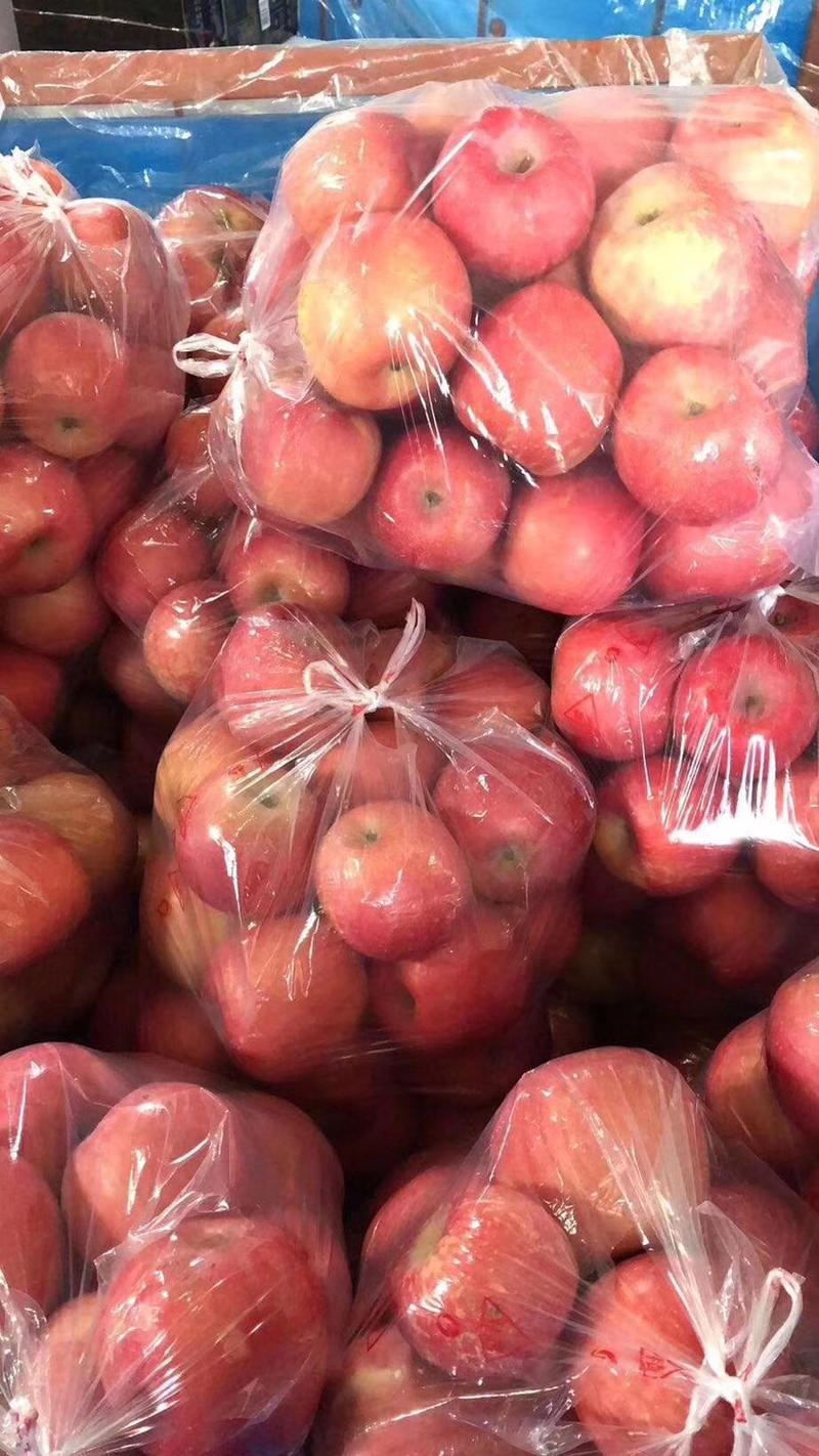 【实力商家】洛川红富士苹果大量供应，各种包装，口感脆甜