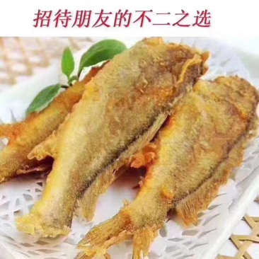 新鲜好吃价格便宜的黄花鱼