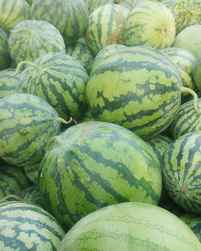西瓜1元