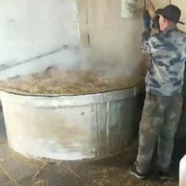 东北红高粱酒