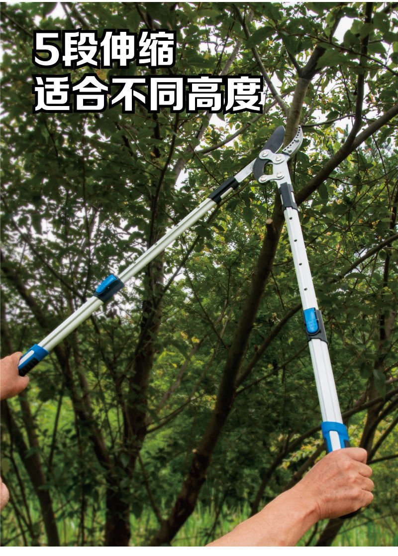 高枝剪伸缩粗枝剪果树树枝修枝剪强力省力大力剪园艺园林大剪