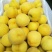 【劳动最光荣】黄金蜜4号9月份成熟的黄桃品种黄金蜜1号