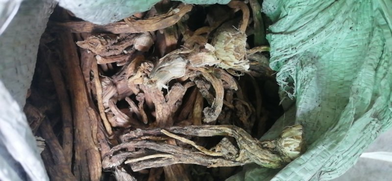 秦艽家种不同规格不同质量