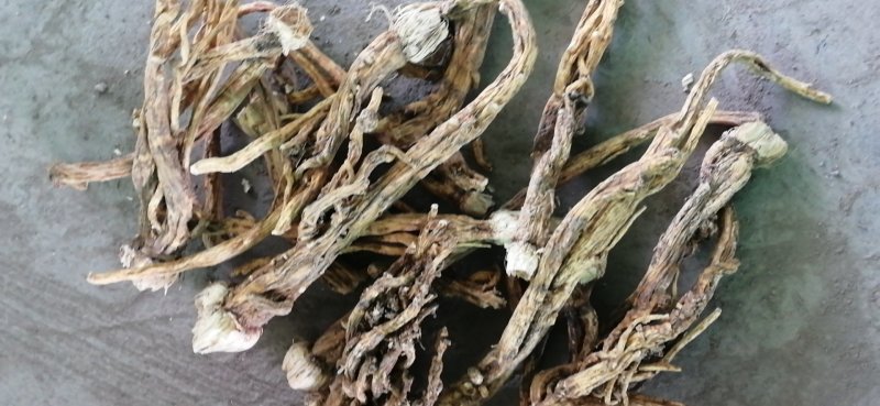 秦艽家种不同规格不同质量