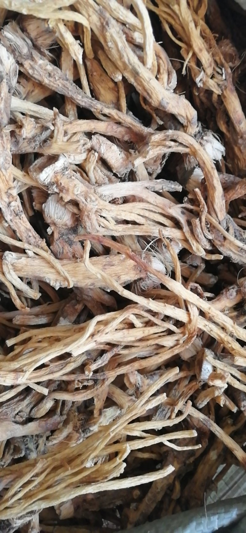 秦艽家种不同规格不同质量