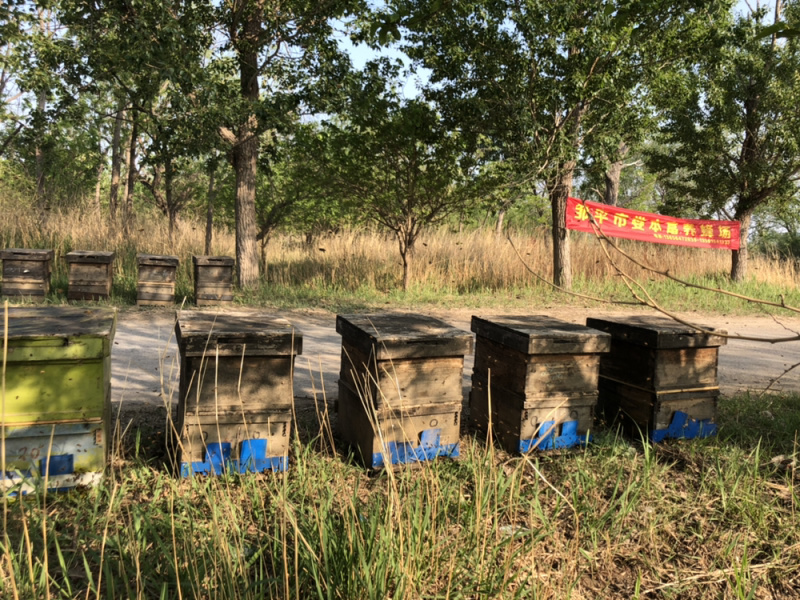 【一件代发】农家精品百花蜜自产自销纯野生百花蜜活动9.9