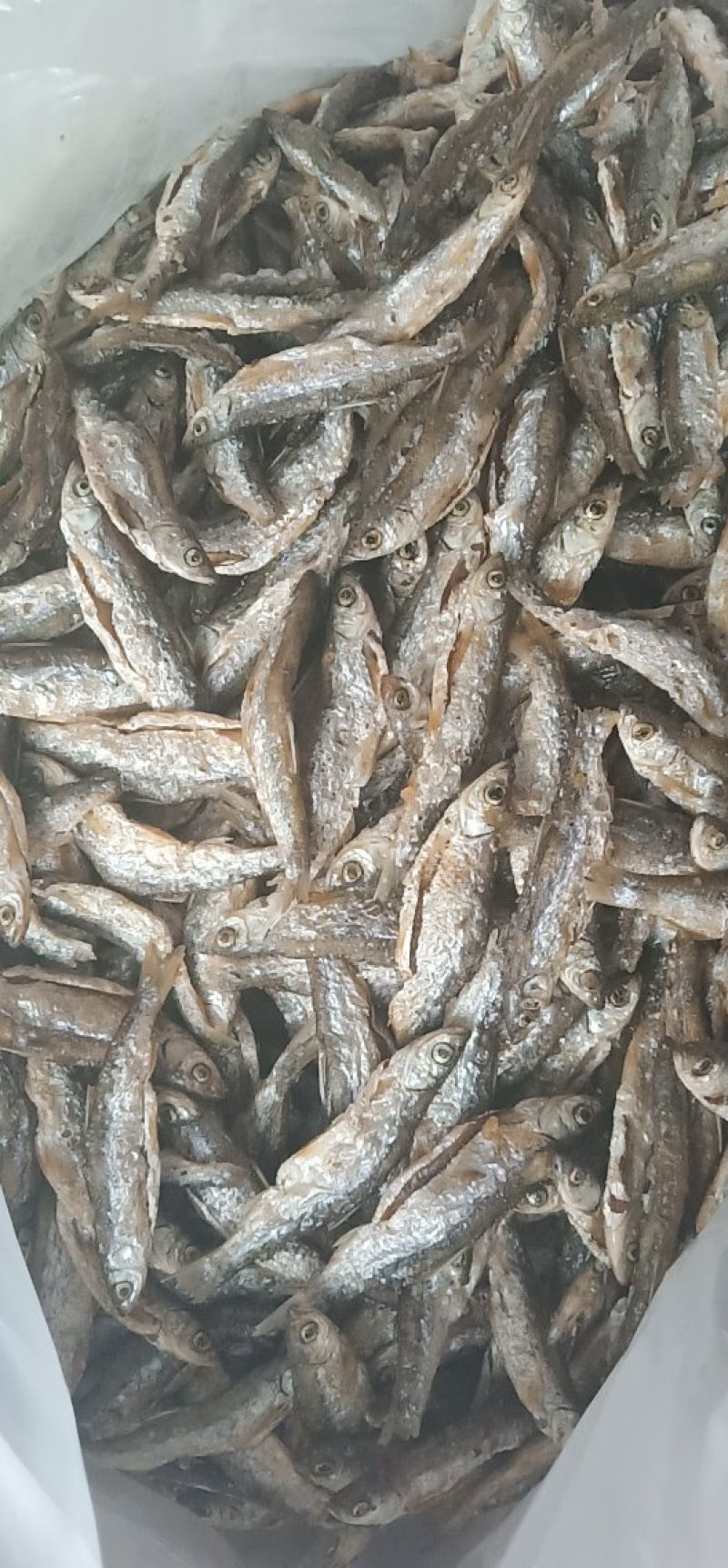 生鱼鱼干