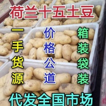 【精选】荷兰十五土豆，对接超市，电商，市场，食堂。