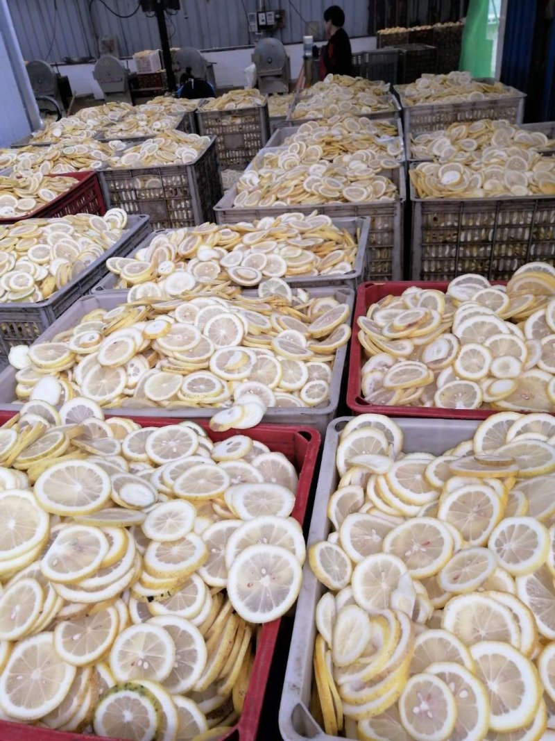 柠檬片泡茶干柠檬大货批发四川安岳柠檬干一手货源大量优惠