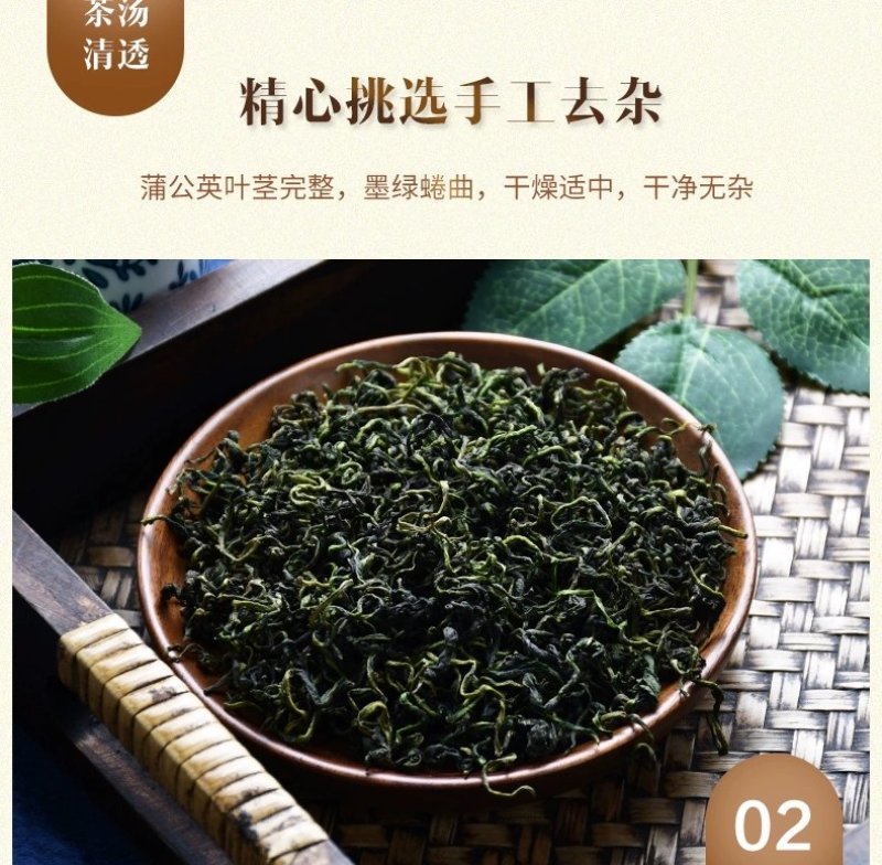 蒲公英茶大货批发野生婆婆丁新货