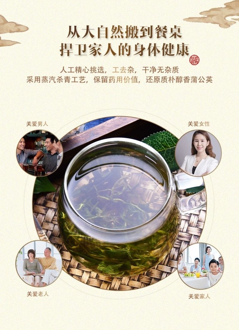 蒲公英茶大货批发野生婆婆丁新货
